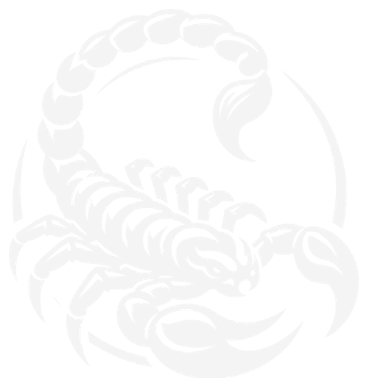 Androctonus crassicauda — the scorpion species VenomX works with